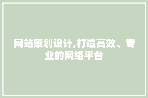 网站策划设计,打造高效、专业的网络平台