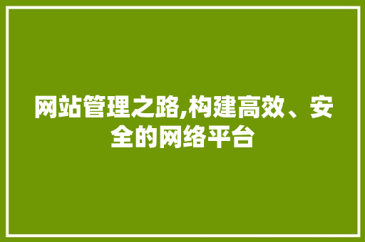 网站管理之路,构建高效、安全的网络平台