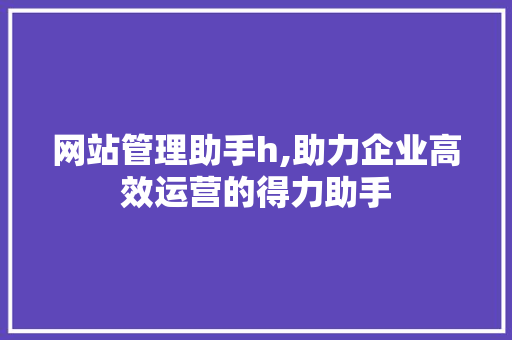 网站管理助手h,助力企业高效运营的得力助手