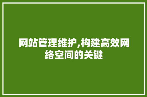 网站管理维护,构建高效网络空间的关键