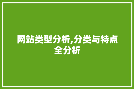 网站类型分析,分类与特点全分析