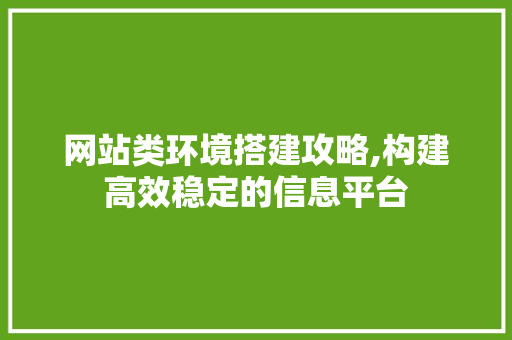 网站类环境搭建攻略,构建高效稳定的信息平台