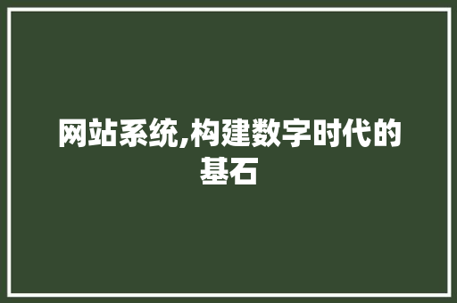 网站系统,构建数字时代的基石