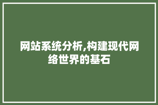 网站系统分析,构建现代网络世界的基石