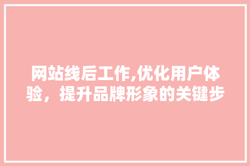 网站线后工作,优化用户体验，提升品牌形象的关键步骤 网站线后工作,优化用户体验，提升品牌形象的关键步骤 神马SEO