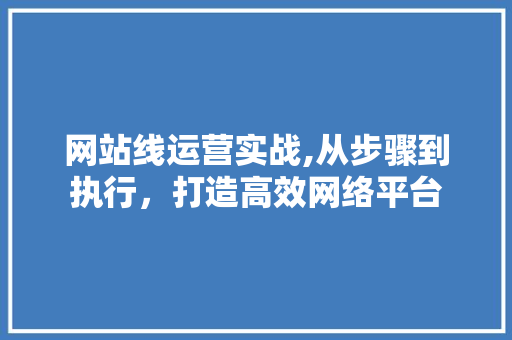 网站线运营实战,从步骤到执行，打造高效网络平台 网站线运营实战,从步骤到执行，打造高效网络平台 神马SEO