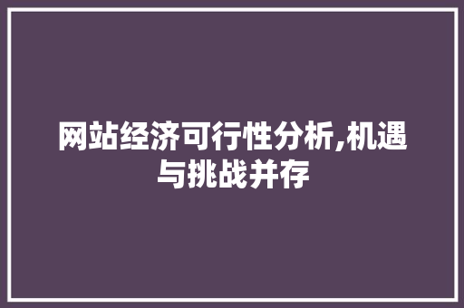 网站经济可行性分析,机遇与挑战并存