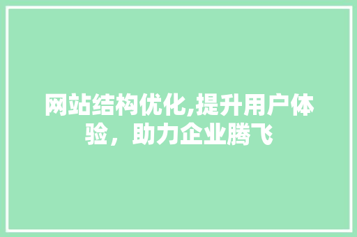 网站结构优化,提升用户体验，助力企业腾飞