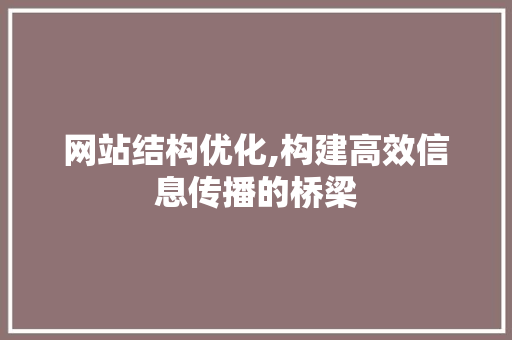 网站结构优化,构建高效信息传播的桥梁 网站结构优化,构建高效信息传播的桥梁 神马SEO