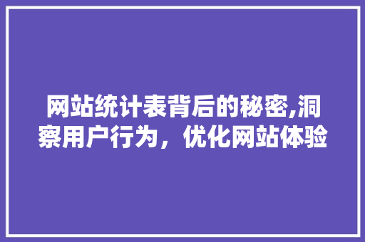 网站统计表背后的秘密,洞察用户行为，优化网站体验