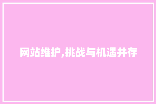 网站维护,挑战与机遇并存