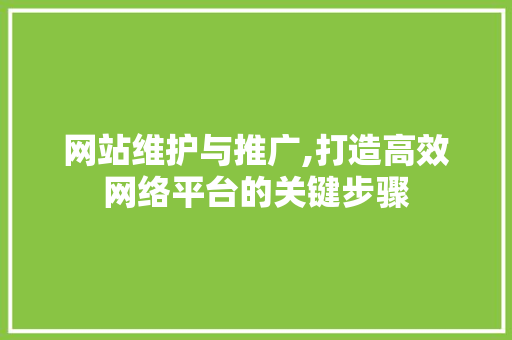 网站维护与推广,打造高效网络平台的关键步骤