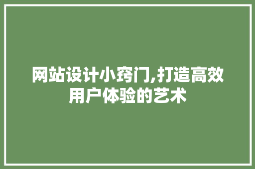 网站设计小窍门,打造高效用户体验的艺术
