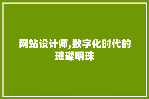 网站设计师,数字化时代的璀璨明珠