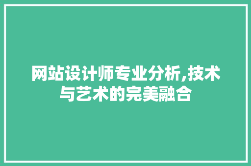 网站设计师专业分析,技术与艺术的完美融合