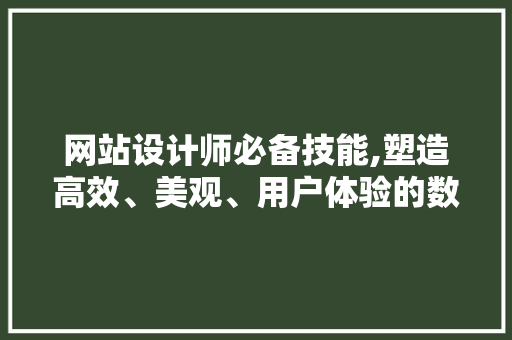网站设计师必备技能,塑造高效、美观、用户体验的数字空间