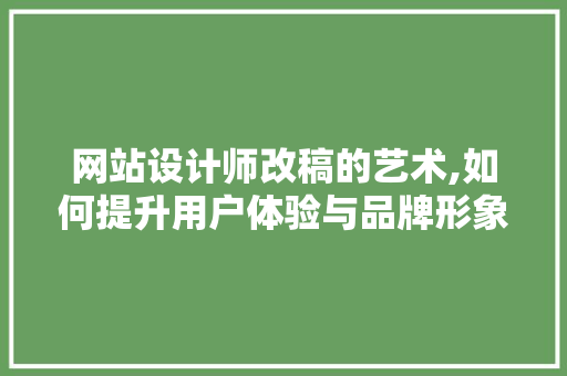 网站设计师改稿的艺术,如何提升用户体验与品牌形象