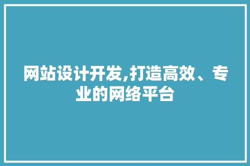 网站设计开发,打造高效、专业的网络平台