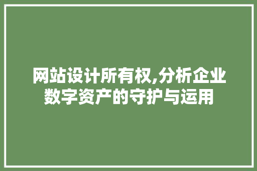 网站设计所有权,分析企业数字资产的守护与运用