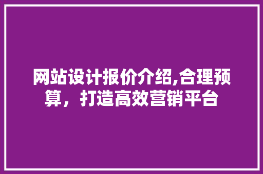 网站设计报价介绍,合理预算，打造高效营销平台 网站设计报价介绍,合理预算，打造高效营销平台 网站建设公司