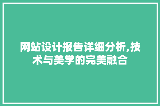 网站设计报告详细分析,技术与美学的完美融合