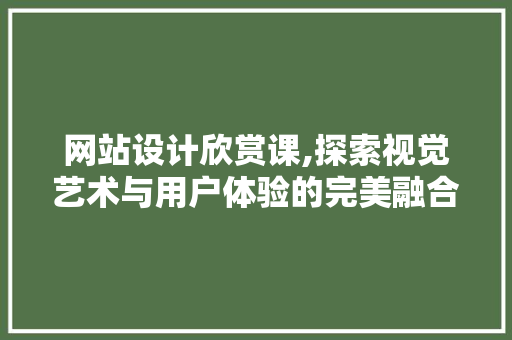 网站设计欣赏课,探索视觉艺术与用户体验的完美融合