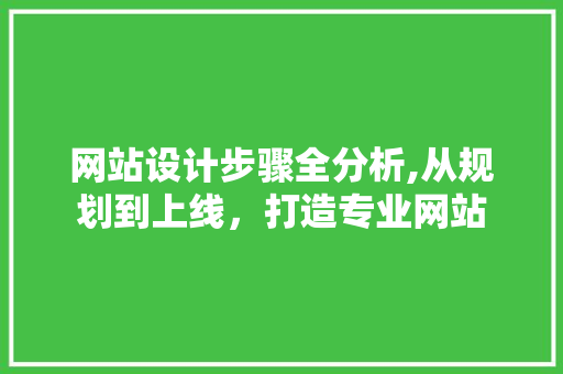 网站设计步骤全分析,从规划到上线，打造专业网站 网站设计步骤全分析,从规划到上线，打造专业网站 必应SEO