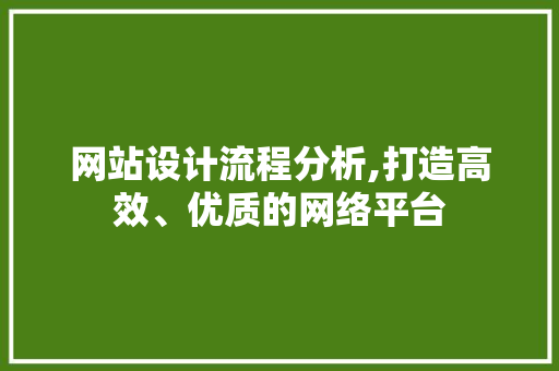 网站设计流程分析,打造高效、优质的网络平台