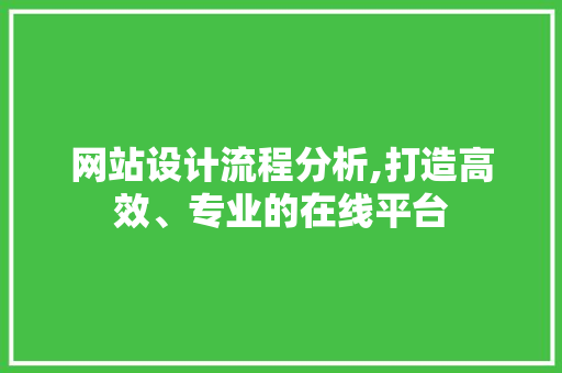 网站设计流程分析,打造高效、专业的在线平台