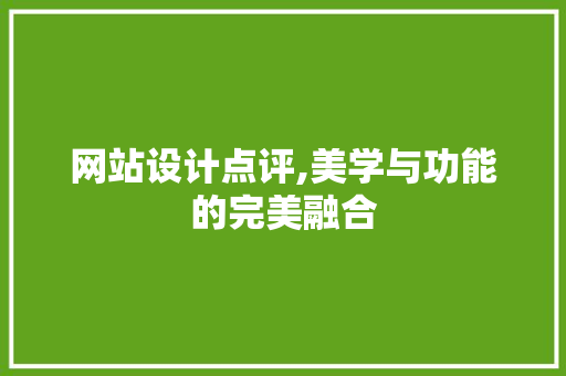 网站设计点评,美学与功能的完美融合