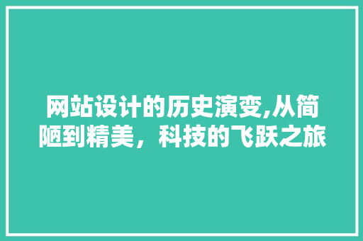 网站设计的历史演变,从简陋到精美，科技的飞跃之旅