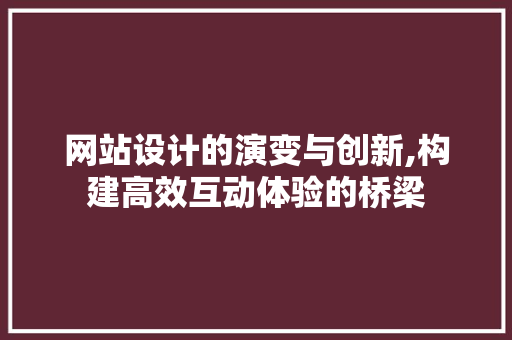 网站设计的演变与创新,构建高效互动体验的桥梁