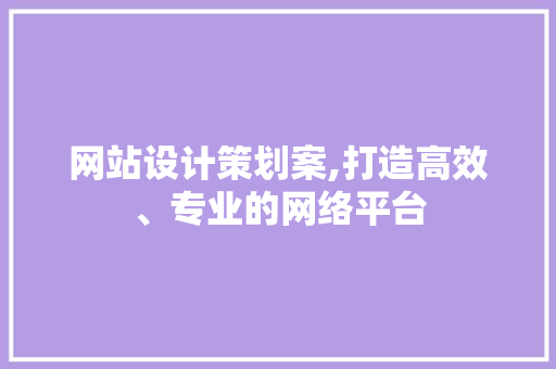 网站设计策划案,打造高效、专业的网络平台