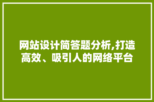 网站设计简答题分析,打造高效、吸引人的网络平台
