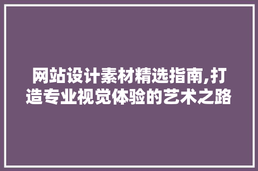 网站设计素材精选指南,打造专业视觉体验的艺术之路