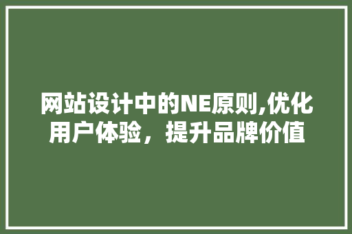 网站设计中的NE原则,优化用户体验，提升品牌价值