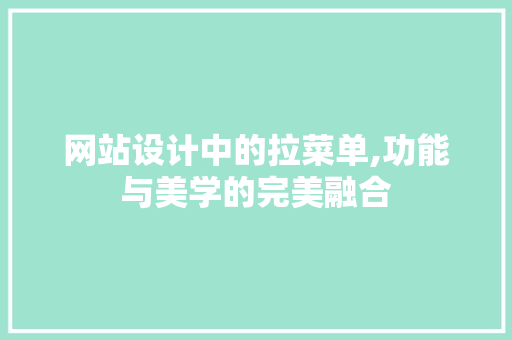 网站设计中的拉菜单,功能与美学的完美融合