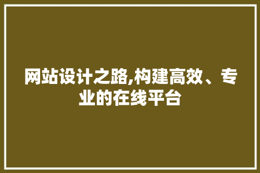 网站设计之路,构建高效、专业的在线平台