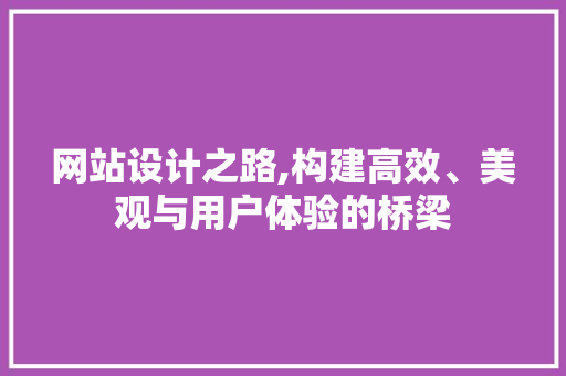 网站设计之路,构建高效、美观与用户体验的桥梁
