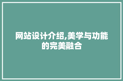 网站设计介绍,美学与功能的完美融合