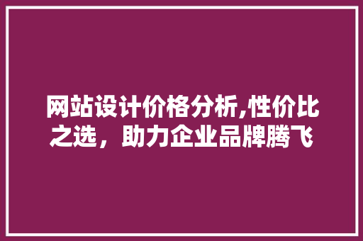 网站设计价格分析,性价比之选，助力企业品牌腾飞
