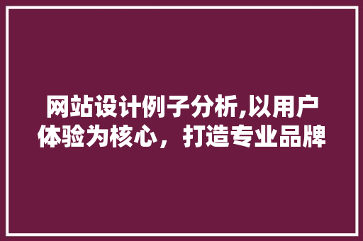 网站设计例子分析,以用户体验为核心，打造专业品牌形象