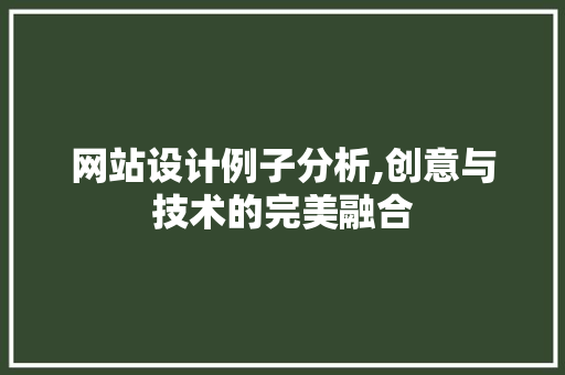 网站设计例子分析,创意与技术的完美融合