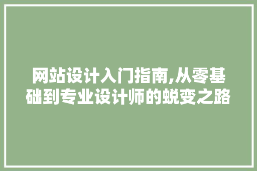 网站设计入门指南,从零基础到专业设计师的蜕变之路