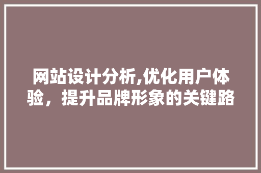网站设计分析,优化用户体验，提升品牌形象的关键路径