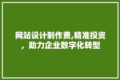 网站设计制作费,精准投资，助力企业数字化转型