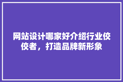 网站设计哪家好介绍行业佼佼者，打造品牌新形象