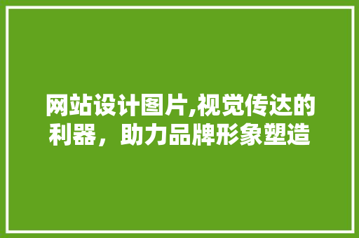 网站设计图片,视觉传达的利器，助力品牌形象塑造 网站设计图片,视觉传达的利器，助力品牌形象塑造 SEO关键词