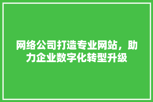 网络公司打造专业网站，助力企业数字化转型升级 网络公司打造专业网站，助力企业数字化转型升级 SEO关键词