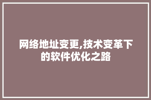 网络地址变更,技术变革下的软件优化之路
